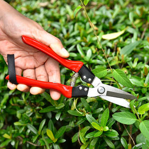 Tijeras de podar con mango de plástico rojo, hoja de acero inoxidable, herramienta manual de jardín para podar ramas - Product Image 2