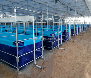 Grands réservoirs SDM pour l'élevage de poissons, réservoir en PVC, élevage de poissons, réservoir en polyéthylène, aquaculture, élevage de poissons - Product Image 6