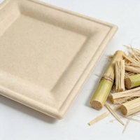 Assiettes carrées biodégradables jetables compostables, écologiques, blanches et brunes, en pâte de bambou pour les fêtes