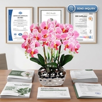 Realistische Phalaenopsis-Orchidee Künstliche Blume im Keramiktopf Seidenarrangement Hotel Hochzeit Heim-Deko Großhandel Maßanfertigung OEM