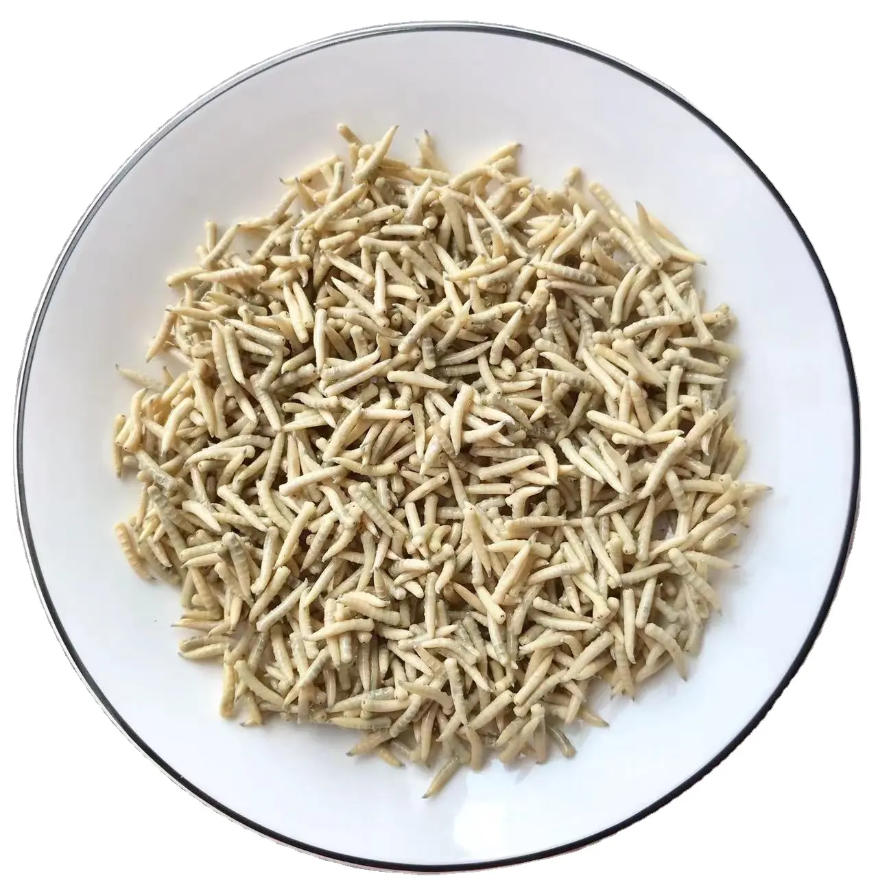 Edible Insects Eco Fresh Riceworm Pet Food Edible Bugs for Fish Turtle Bird Poultry