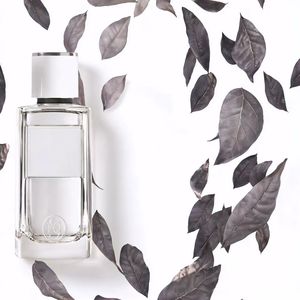 Parfum unisexe pour hommes et femmes - Eau de parfum fruitée, boisée et épicée, vaporisateur longue durée, collection privée, vente en gros - Product Image 4