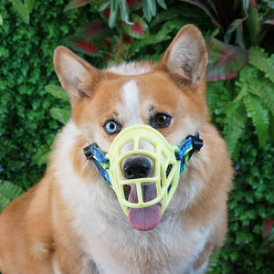 WANLI 공장 사용자 정의 다채로운 인쇄 재미있는 개 총구 - Product Image 4