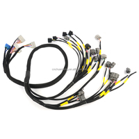 Faisceau de câbles personnalisé CNCH pour kit de câblage Fueltech Haltech ECU-TXL 3 ans de garantie