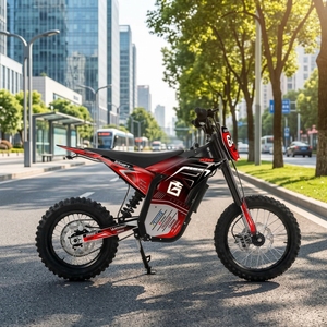 Preventa 2027: Motocicletas Eléctricas Deportivas de 72V, Todoterreno, con Batería de Litio y Motor sin Escobillas, Velocidad Máxima de 75 km/h - Product Image 2