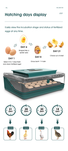 WONEGG Haute Qualité Nouveau <span class=keywords><strong>25</strong></span> Large Usage Plateau À <span class=keywords><strong>Oeufs</strong></span> Incubateur Automatique Pour <span class=keywords><strong>Oeufs</strong></span> - Product Image 6