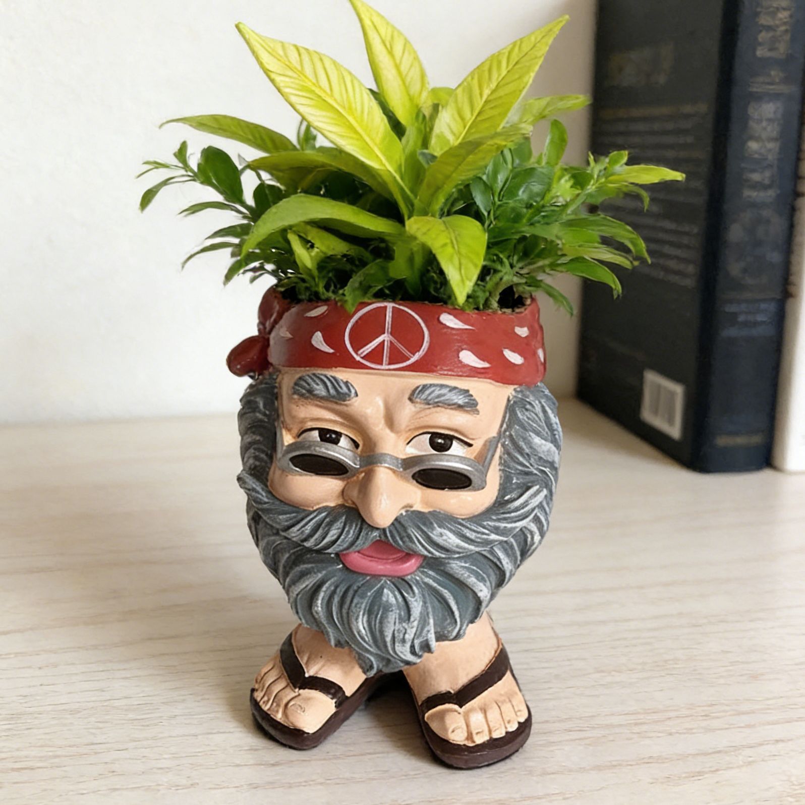 Maceta colorida para niño muggle