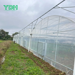 Wholesale UV Resistant 200 Micron Clear <strong>Plastic</strong> Polyethylene Film Sheeting <strong>Greenhouse</strong> <strong>Covering</strong> for Agricultural <strong>Greenhouses</strong> - Product Image 3
