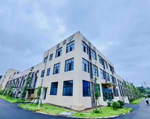 1/2 di precisione affilatissimo \ "1/4 \" a gambo appuntito taglierine per incisione utensili per la lavorazione del legno - Product Image 5