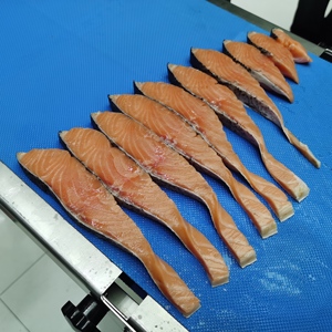 Máquina Cortadora de Tiras de Carne Fresca Tipo Transportador, Máquina Procesadora de Carne en Venta - Product Image 6