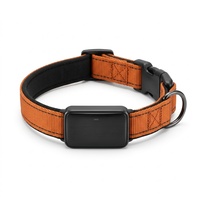 Collier intelligent magnétique de suivi de santé pour animaux de compagnie avec GPS 4G/5G, capteur de fréquence cardiaque, conception étanche, localisation en temps réel, anti-perte