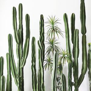 C-90 Grande <span class=keywords><strong>Colonne</strong></span> artificielle <span class=keywords><strong>de</strong></span> fausse plante <span class=keywords><strong>de</strong></span> cactus vert nordique en <span class=keywords><strong>pot</strong></span> pour la décoration <span class=keywords><strong>de</strong></span> fenêtre intérieure pour l'ornement <span class=keywords><strong>de</strong></span> Noël - Product Image 3