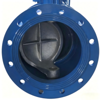 Vanne à molette manuelle excentrique à engrenage à vis sans fin PN16 à brides en fonte ductile avec joint PTFE pour pipeline de traitement de l'eau DN50-DN200