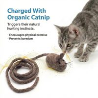 Jouet pour chat en feutre de laine fait main avec queue en corde extra longue, jouet interactif pour chaton stimulant l'instinct de chasse, jouet à mâcher pour animaux de compagnie
