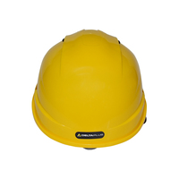 Casques de sécurité de haute qualité pour la construction, en ABS et HDPE, pour utilisation estivale, à 6 points de fixation, marque DELTAPLUS