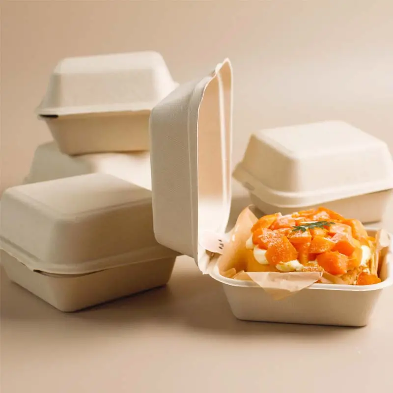 Tek kullanımlık biyobozunur şeker kamışı hamuru Bagasse yemek kabı götürmek kek kutusu Burger Bento Mini kek ambalaj kutusu kapaklı