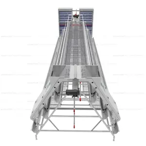 Otomatik tavuk kafesleri yumurta tabakası pil kafesi tarım ekipmanları yumurta toplama dezenfeksiyon sistemi - Product Image 6