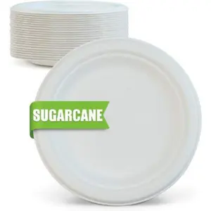 125 Pack White Disposable Plates 6 7 9 10inch Biodegradable Sugar Cane Bagasse Plates Custom Fancy Plates From Take Away