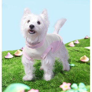 Ropa de verano para perros y mascotas, chaleco refrigerante transpirable, chaleco de verano de secado rápido para <span class=keywords><strong>cachorros</strong></span> y perros pequeños, medianos y grandes, ropa para mascotas - Product Image 2
