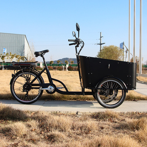 <span class=keywords><strong>Vélo</strong></span> cargo <span class=keywords><strong>électrique</strong></span> noir à usage familial <span class=keywords><strong>vélo</strong></span> de <span class=keywords><strong>remorque</strong></span> de cargaison à deux roues avant cadre en acier <span class=keywords><strong>vélo</strong></span> de cargaison à 3 roues avec <span class=keywords><strong>porte</strong></span> latérale - Product Image 1