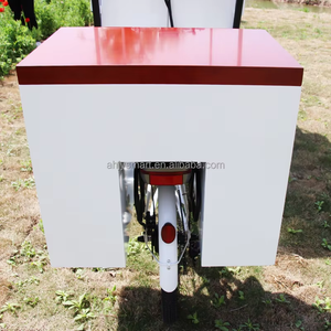 Vélos électriques OEM de tricycle de crème glacée vélos électriques de tricycle de congélateur chariot de nourriture de cargaison vélo solaire de crème glacée avec la batterie - Product Image 5