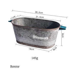 <span class=keywords><strong>Macetas</strong></span> de Metal Duraderas de la Serie Bonnie, Venta Directa de Fábrica, Ideales para Jardín, Ventana o Mesa - Product Image 4