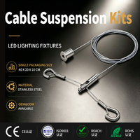 Kit de suspension à clip de câble métallique en acier inoxydable réglable Kit de câble suspendu de haute qualité pour l'éclairage intérieur Image en pot