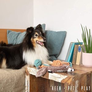 Juego <span class=keywords><strong>de</strong></span> Juguetes para Perros, Regalo <span class=keywords><strong>de</strong></span> Cumpleaños, Juguetes para Cachorros para el Aburrimiento - Product Image 4