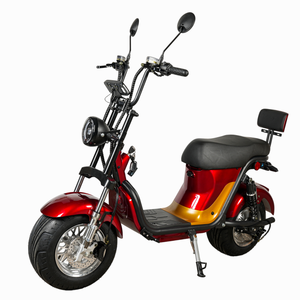 Hot Selling Brazil City Scooter 1000w 60v 20ah Lithium Battery Rear <b>Hub</b> Motor Aluminum Frame Digital Sensor X21 60v Voltage - Product Image 6
