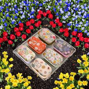 Caja de Almacenamiento Portátil Multifuncional Sellada y Reforzada de Hierro Pequeño Tipo Flip Coreano para Dulces y Medicamentos - Product Image 3