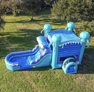 Castillo Inflable, Brincolín Inflable, Casa de Brinco Inflable Comercial, Castillo Inflable de Medusas - Product Image 4
