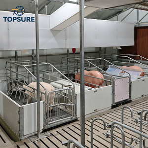 Phong cách Châu Âu gieo farrowing giường heo con giao hàng Crate Hot Bán mạ kẽm thiết bị nông nghiệp Composite - Product Image 5