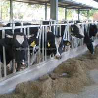 Headlock sapi kunci kepala kambing galvanis, untuk peralatan pertanian kambing sapi kunci leher domba untuk penggunaan pertanian peternakan