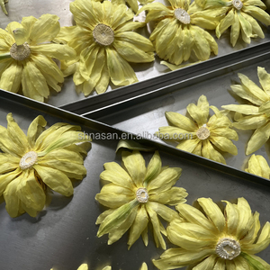 Secador de microondas herbal certificado CE | Conservas ingredientes activos | Servicio OEM - Product Image 6