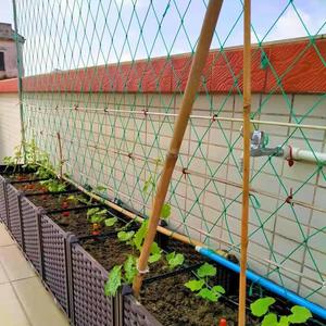 Más vendido: Red de polietileno para trepar plantas, para uso floral y decorativo en jardín, para melón amargo, uva, calabaza, judía de jardín, fruta de la pasión, y para arte de jardín. - Product Image 2