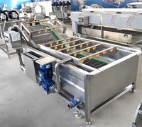 Industriële hogedrukreinigingsmachine voor vers fruit (mango, appel) en groenten met luchtbellen