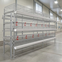Système de cages automatiques pour poules pondeuses en acier galvanisé pour l'élevage avicole