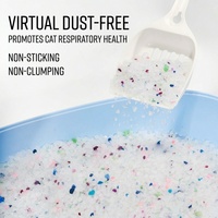 Litière pour chat en cristal testée au pH, légère, facile à nettoyer, résistante aux odeurs, réutilisable, sable transparent pour toilettes pour animaux de compagnie