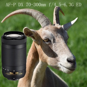 ขายส่งจากโรงงาน เลนส์กล้องมือสอง AF-P DX Nikkor 70-300mm F/4.5-6.3G ED SLR สำหรับกล้อง APS-C เลนส์ระยะกลางและระยะไกล - Product Image 5
