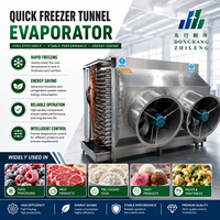Refroidisseur de surface à évaporateur pour congélateur tunnel haute performance, pour applications de congélation rapide IQF