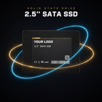 Disque SSD SATA 2,5 pouces 1 To 6 Gbit/s SATA3, disque dur interne pour ordinateur portable, ordinateur de bureau, serveur NAS, logo personnalisé OEM