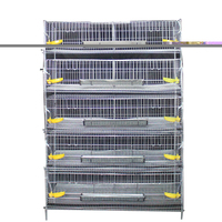 Cage de caille entièrement automatique galvanisée 300-500