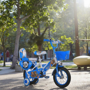 SL16247 Orange enfants BMX vélo pas cher nouveau modèle mode vélo de rue avec fourche en acier et pédale ordinaire Offre Spéciale pour garçons - Product Image 2