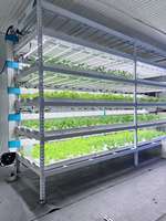 Système d'agriculture verticale intelligent pour l'intérieur, contrôlable par application, kit de culture hydroponique automatique pour légumes-feuilles