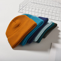 Unisex Volwassen Winter Warme Pet Hoge Kwaliteit Gebreide Slouchy Beanie Met Aangepaste Logo Patch Gemaakt Van Katoen Bedrukt Patroon