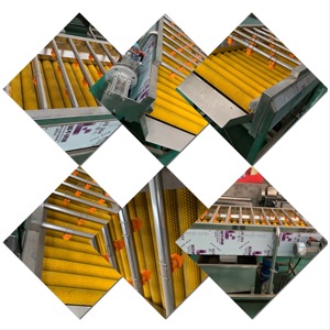 <b>Vegetable</b> Washing Machine For Potato Carrot Beetroot Cleaning In <b>Vegetable</b> Processing Plant - Product Image 6