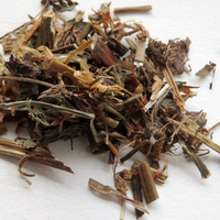 Trifolium Pratense Séché de Qualité Supérieure – Herbe Naturelle pour Infusions et Compléments Alimentaires – Vente en Gros
