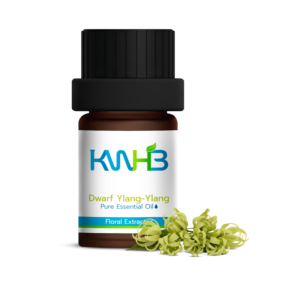 Aceite Esencial Puro de Ylang-ylang KWHB Dwarf, 5 ml, Extractor Herbal para Uso Doméstico, Producto de Tailandia - Product Image 2