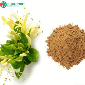 Bột chiết xuất hoa kim ngân chất lượng cao giá tốt, hàm lượng acid chlorogenic 5%, chiết xuất Lonicera - Product Image 1