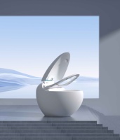 Nouvelle toilette intelligente haut de gamme au design moderne, blanche, monobloc, avec filtration d'eau, lavage féminin, bidet, siphon en S inclus